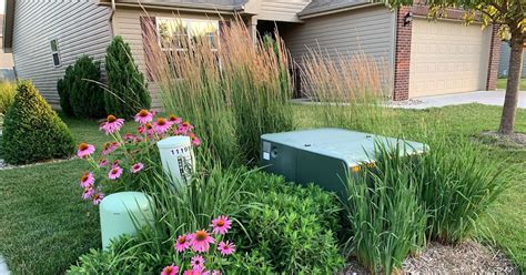 growing plants around electrical boxes|plants around an electrical box.